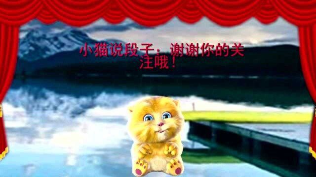 小猫讲笑话:小学生写作文,家长抓狂,老师气笑!