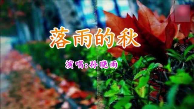 天冷了一首《落雨的秋》送给远方的你,记得多加衣服,照顾好自己