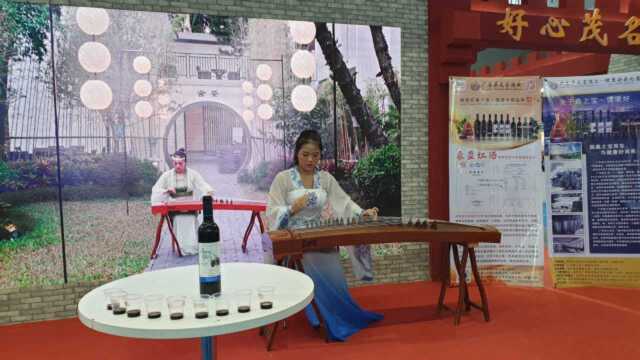 广东旅博会上漂亮的小姐姐古筝演奏,为“桑盈”桑葚红酒推广助力!