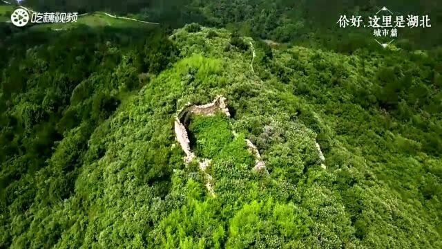 「你好,这里是湖北之城市篇」原来武汉还有这样的仙境之地