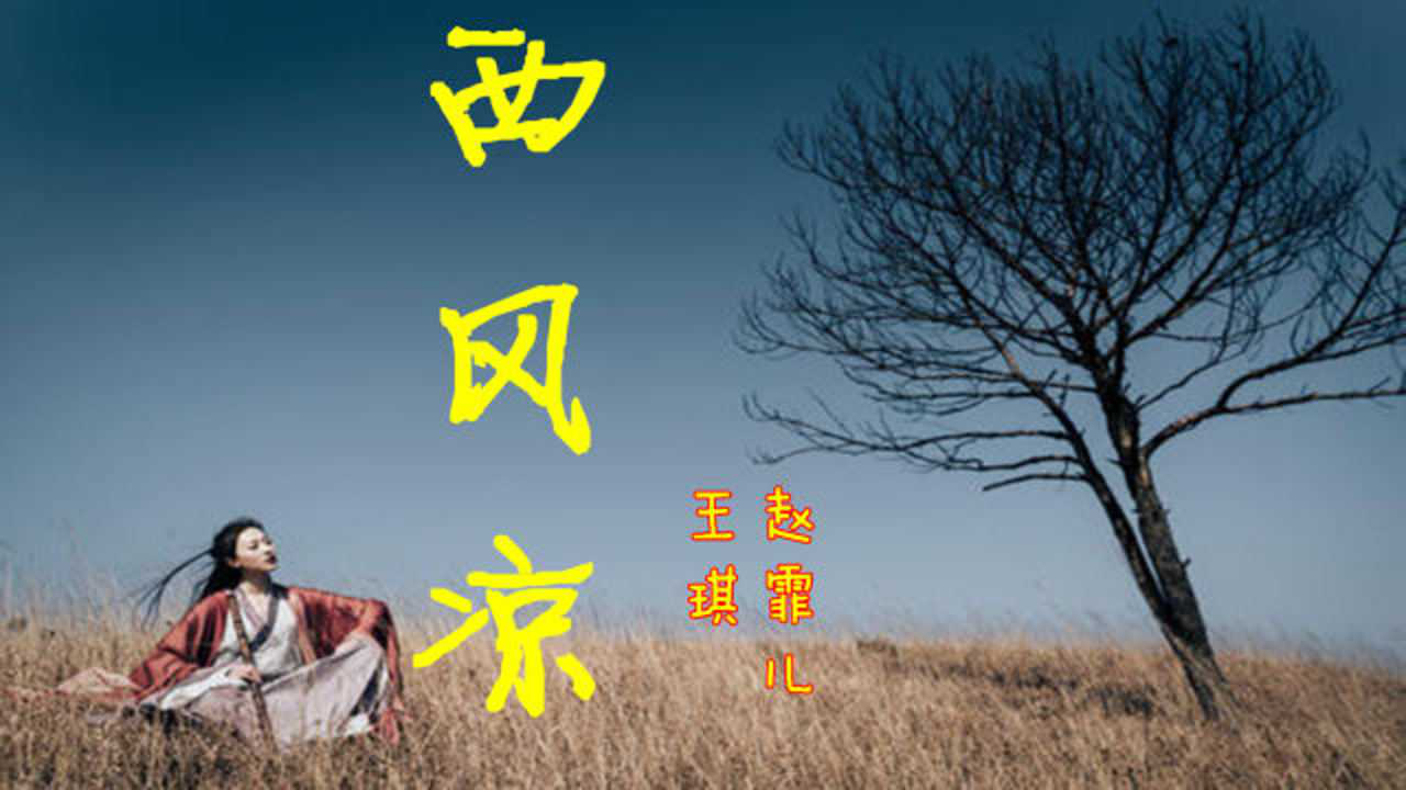 王琪有了女搭档,2人合唱古风歌曲《西风凉》,唱尽人世悲凉!