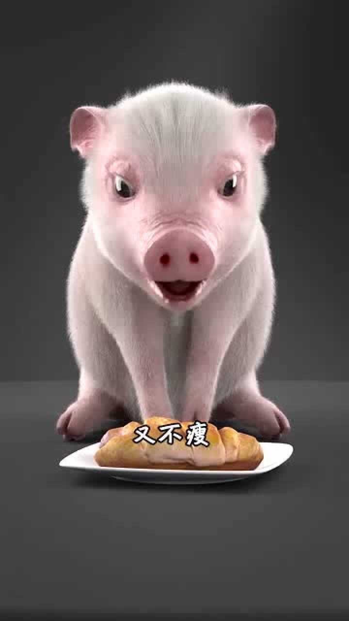 小猪不能吃太多啊吃多会变成烤乳猪的