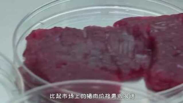 中国人造肉上市销售,究竟是用什么材料做成的,这样的肉健康吗?