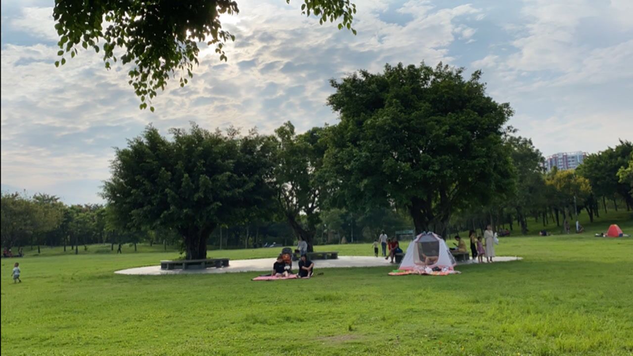 深圳大沙河公園那些溫馨的風景畫面