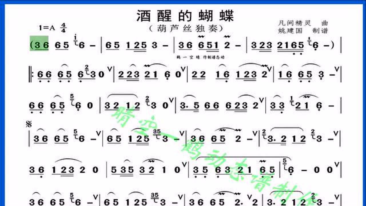 葫芦丝:酒醒的蝴蝶杨晓燕唱谱