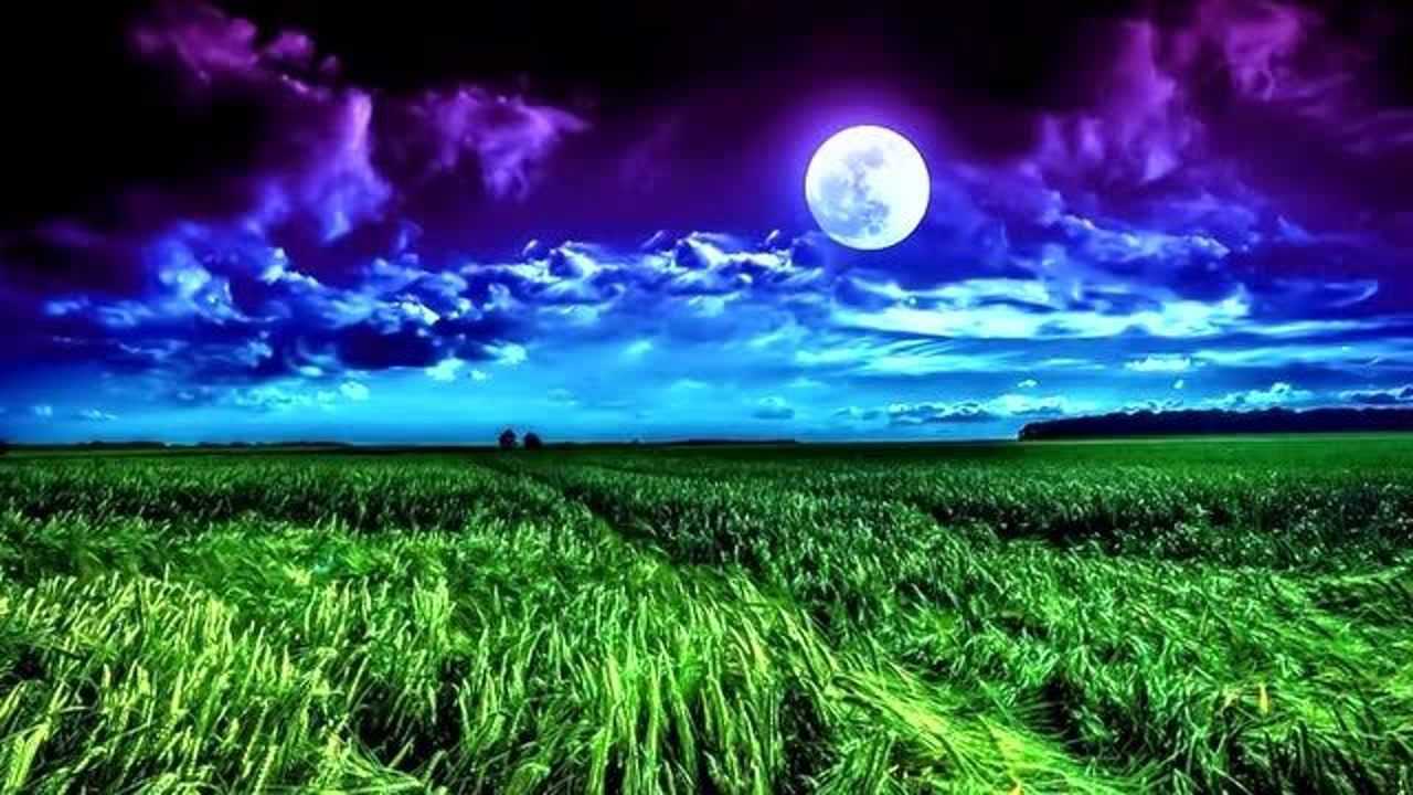 降央卓玛一首草原情歌月亮升起来好听极了