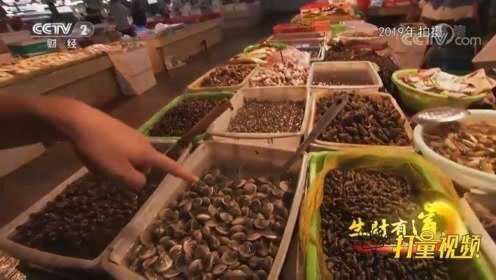 实拍浙江宁海最大的海鲜市场，各种海产品让你大开眼界