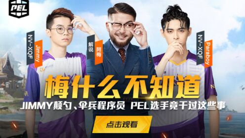pel和平精英职业联赛精品节目梅什么不知道第三期选手们面对linky采访