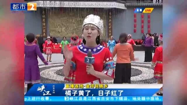 金坪民族乡:橘子黄了,日子红了