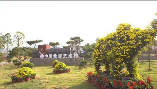 乡村振兴看沂蒙|穷山沟“蝶变”齐鲁样板 兰陵压油沟闻名世界