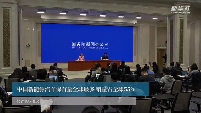 中国新能源汽车保有量全球最多 销量占全球55%