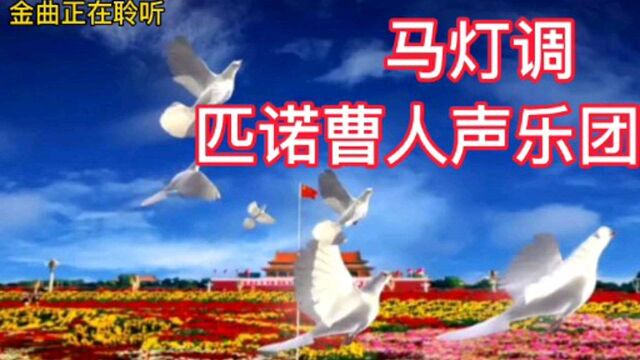 中国好声音学员匹诺曹人声乐团演唱一首民间小调《马灯调》