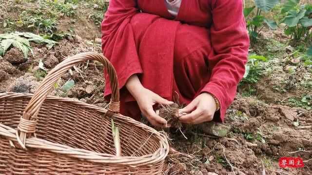 黄金芋头酥,外焦里嫩香脆可口,自己地里的芋头就是天然安全又美味