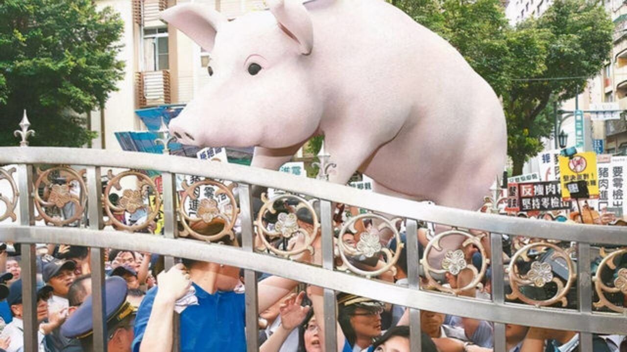台湾多个公民团体上街高喊口号莱猪滚回去苏贞昌下台