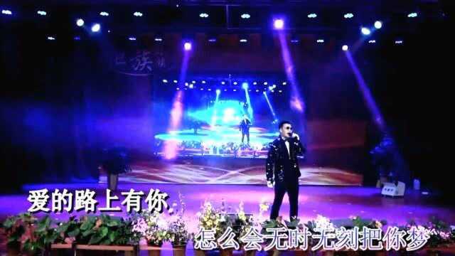 深圳李德成  亲密爱人(现场演出)