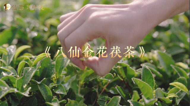 八仙金花茯茶