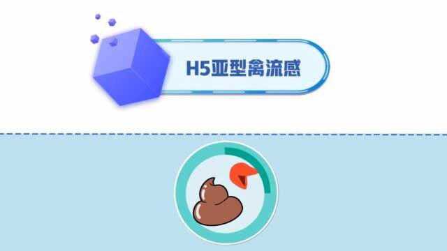 养殖技术:冬春季鸡的传染性疾病特点及防控措施(中)