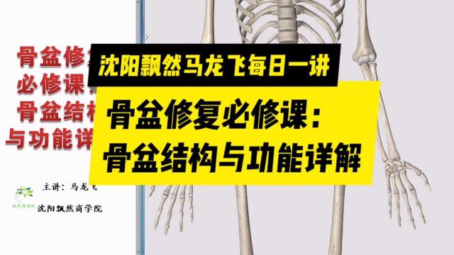 骨盆修复产康必学:骨盆的结构与功能详解 沈阳飘然马龙飞