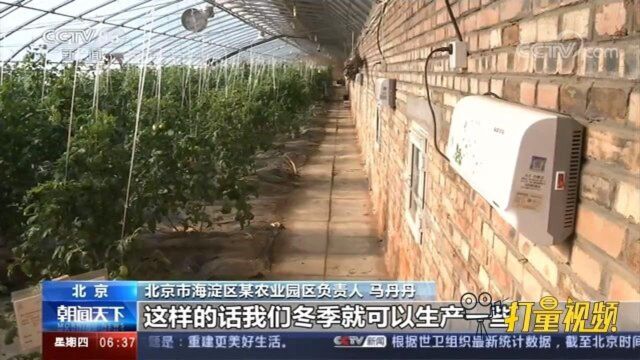 冬季保供应,蔬菜大棚变“暖棚”,菜价稳定惠民生