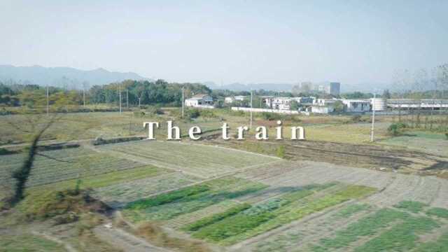 The train