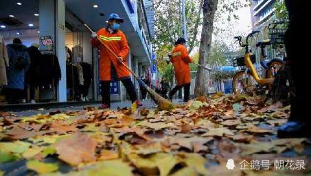 风卷落叶满地 江城寒潮来袭