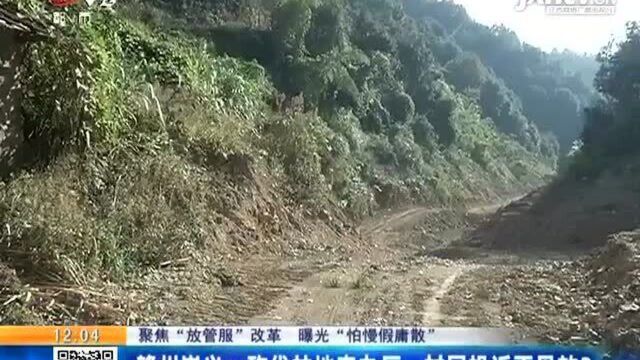 赣州崇义:砍伐林地来办厂 村民投诉不见效?