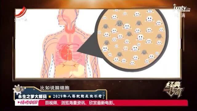 人真能长生不老?生物学家研究多年 发现水螅有再生能力