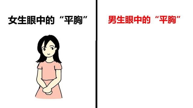 女生,男生眼中的“平胸”,有什么区别?画的太形象了