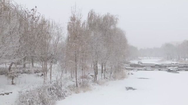 (电视通稿ⷥ›𝥆…ⷧ侤𜚩喀什地区莎车县迎来降雪天气