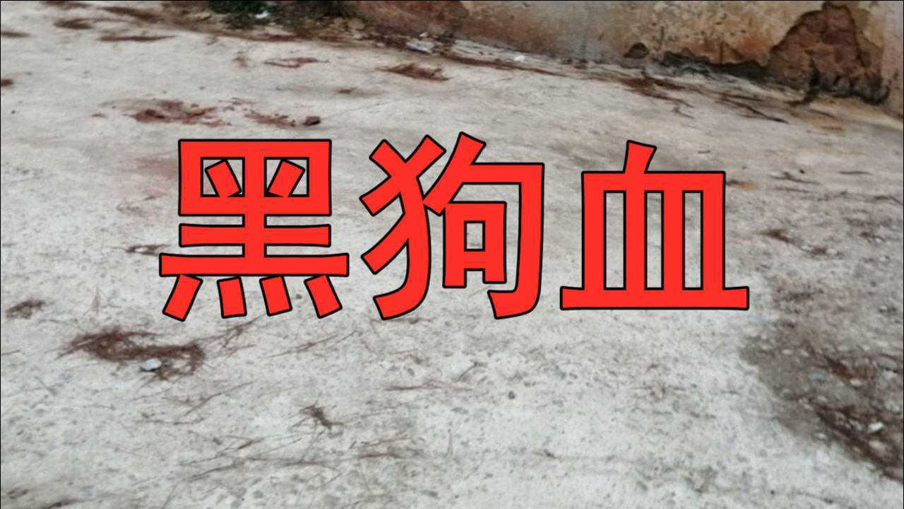 民间故事:《黑狗血》黑狗血的用途,大家是不是特别熟悉?