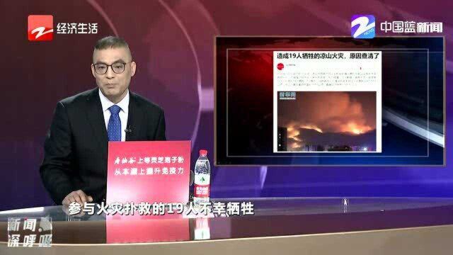 造成19人牺牲的凉山火灾 原因查清了