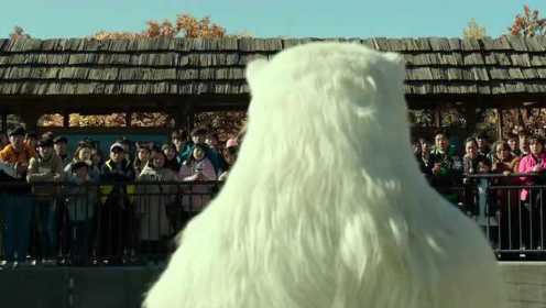 秘密动物园5：动物园快倒闭了，谁知北极熊喝了口可乐，动物园瞬间爆满