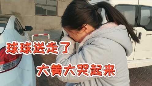 送拯救的流浪狗去北京，看着车子渐行渐远，女子的眼泪夺眶而出