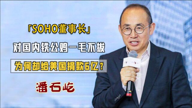 “铁公鸡”潘石屹:国内一毛不拔,却捐美国6个亿,自曝原因令人心寒