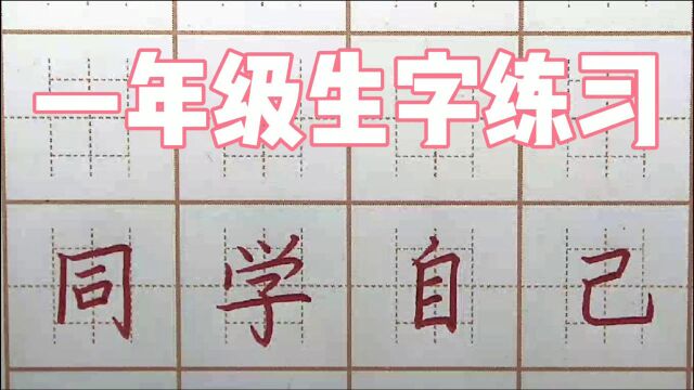 一年级生字:同学自己,一笔一画字帖练习,硬笔书法写字楷书练字