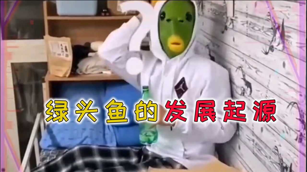 绿头鱼的发展起源,原型是一部韩国电影,让人细思极恐
