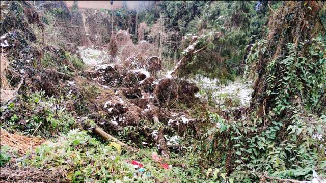 四川德阳中江集凤镇,龙泉山脉看雪好地方,可惜来晚了