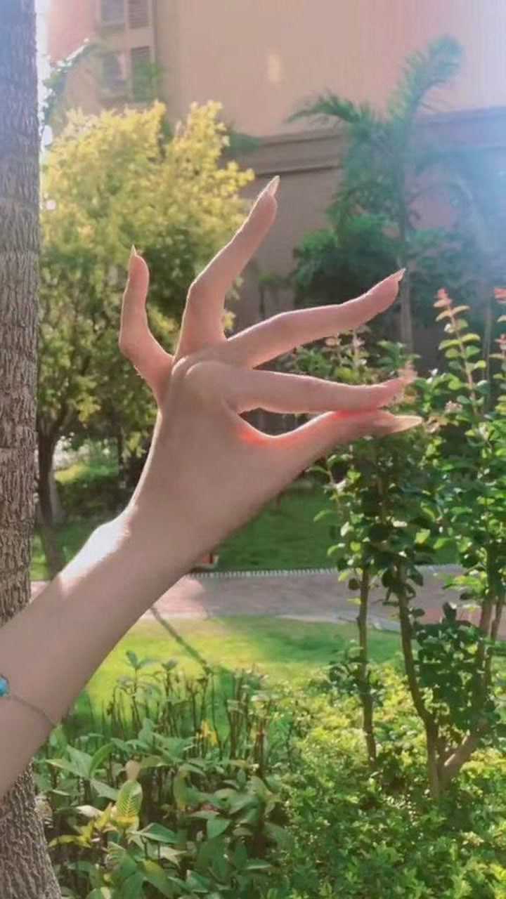 蜜加的原创手指舞:送给大家4秒的阳光