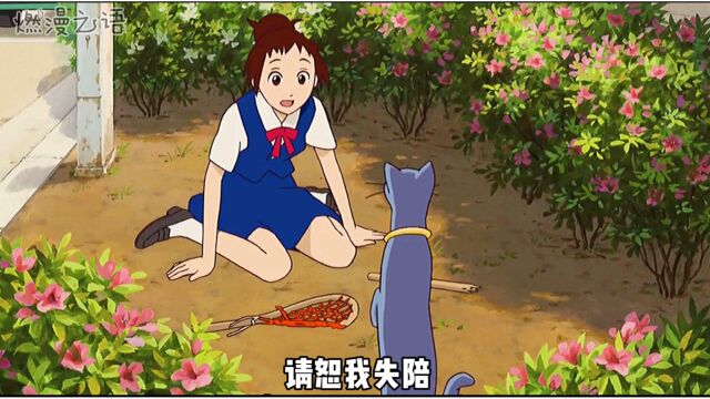 猫的报恩:小春救下猫王子,它们后面会有怎样的故事呢?