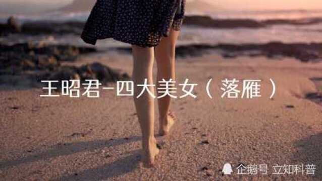 王昭君四大美女(落雁)