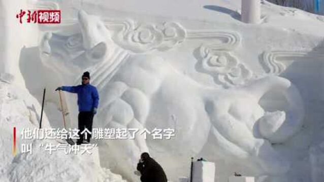 牛气冲天!吉林两市民制作7米长雪雕牛