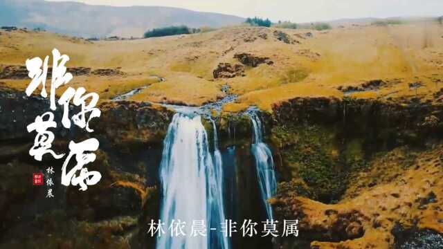 林依晨一首《非你莫属》,歌声婉转动听,醉人心扉!