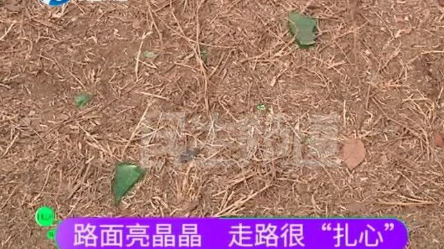 路面满是玻璃渣,女子经过时鞋被扎透,业主担心安全隐患