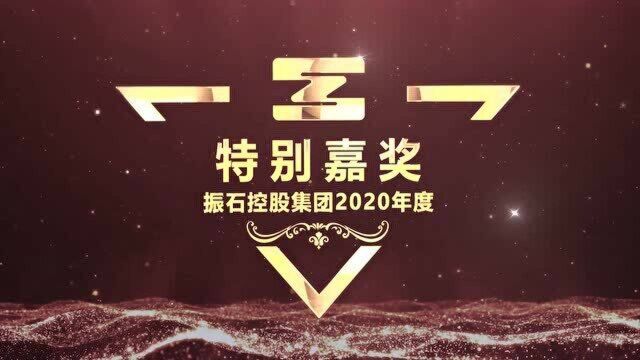 振石控股集团2020年度特别嘉奖1