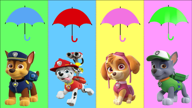 帮助汪汪队毛毛天天灰灰阿奇选择正确颜色的雨伞
