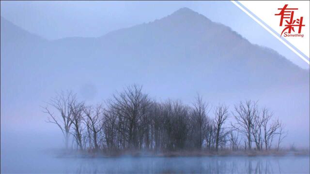 每一帧都是壁纸!航拍神农架大九湖湿地公园 雾气缥缈宛如水墨画