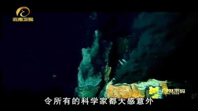 火山口温度高达400摄氏度,科学家却发现一些嗜热的细菌生活在此