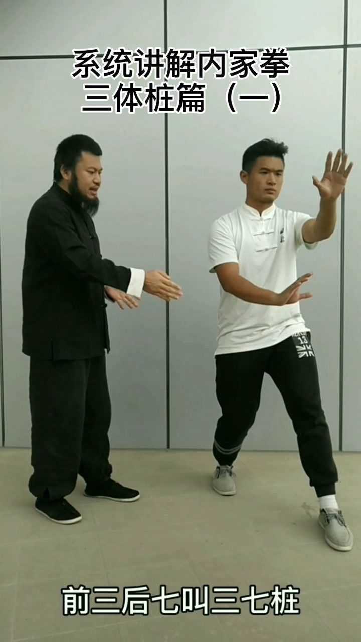 形意拳三体桩篇一