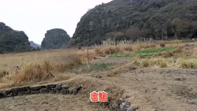 了元先生带你欣赏桂林地区一处佳城,正朝天然泉眼