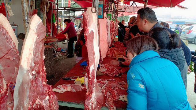 四川成都猪肉暴跌 ,到温江游家渡菜市场问过价格 ,大吃一惊